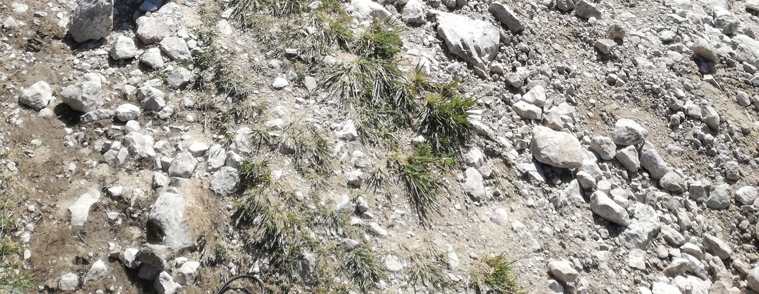 Big rocks, high speed, we found everything on this 5km track on Drumu Rosu.  - Featured image
